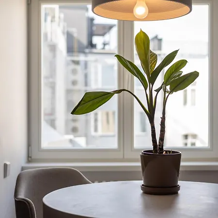 Daire Tasteful 1bd Centre Apartme *